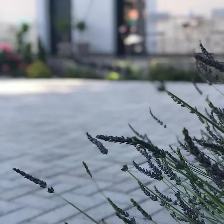 Pensjonat Merula Park Eger