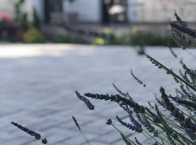 Pensjonat Merula Park Eger