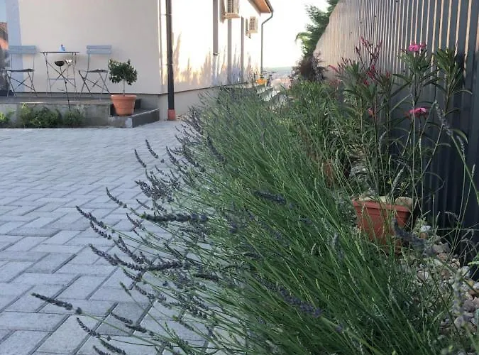 Pensjonat Merula Park